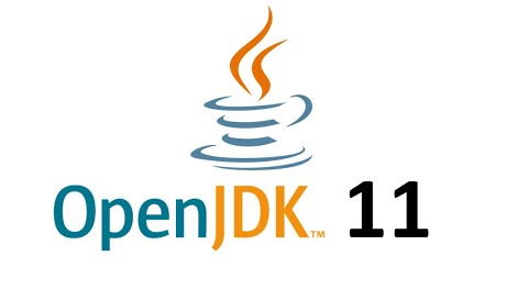 OpenJDK 11