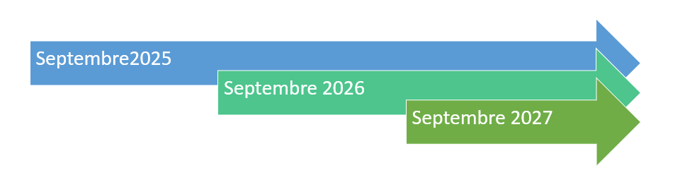 Damaris PDP Dates clés